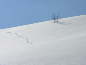 montagne_paysage_de_neige