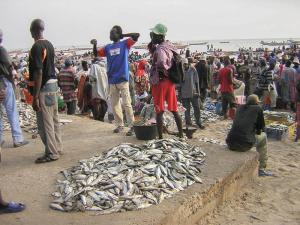 senegal-4