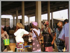 senegal-6