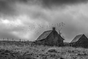 aline_chambert_en_quete_de_lumiere_04