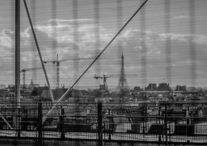 champi___6_m__tallique