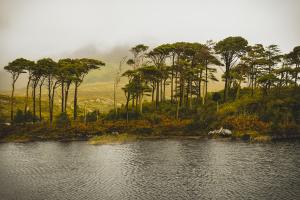 anam-l_esprit_de_la_lande6