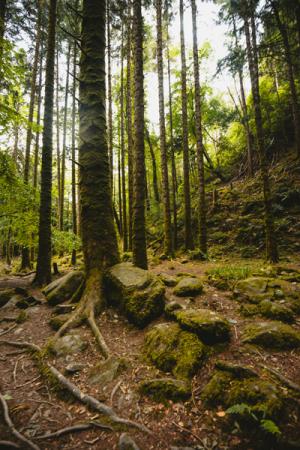 anam-l_esprit_de_la_lande8