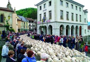 transhumance-porche_de_la_mairie