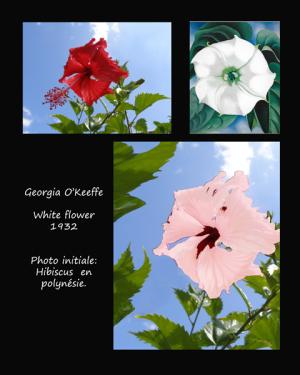 white_flower_o_keeffe_a4