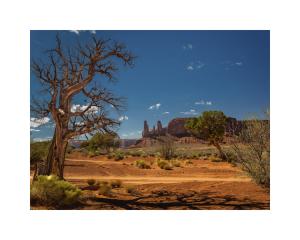 monument_valley-6