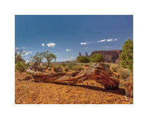 monument_valley-7