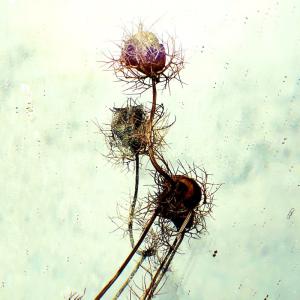 1753089407490_filtered