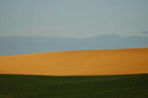 dsc_3457_red_po__sie_abstraite