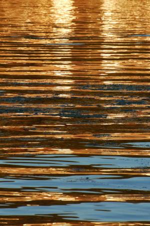 dsc_4534_red_reflets_garonne