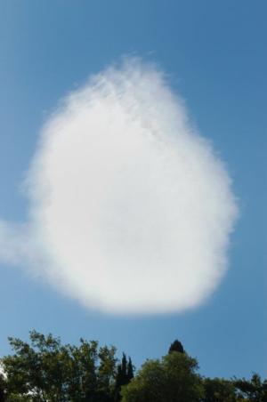 dsc_5201_red_nuage_090710