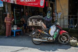 vietnam___expo_2_roues_(4)