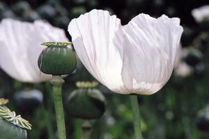 1-img20260228_16103698