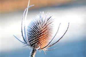 2-img20260228_16071658