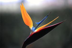 3--img20260228_16130405