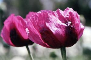 4-img20260228_16094012