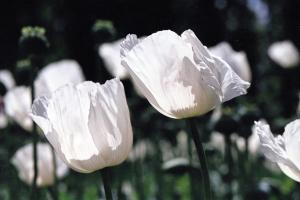 6-img20260228_16083650