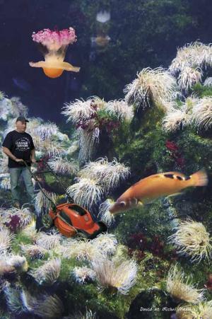 voyage_au_fond_des_mers