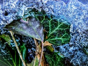 maitre-hiver_ibo_mwidua-low-1-8