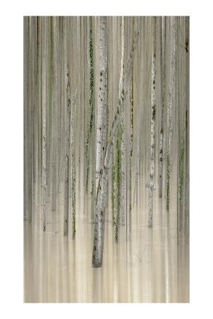 12_les_pieds_dans_l_eau