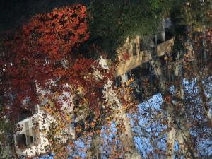 reflet_3