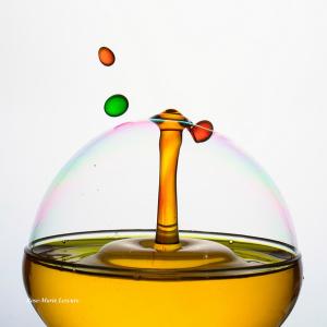 expo_festival_acquatique_01