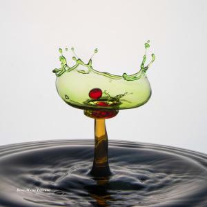 expo_festival_acquatique_03