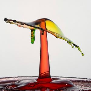 expo_festival_acquatique_04