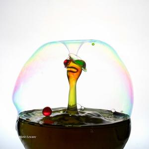 expo_festival_acquatique_07