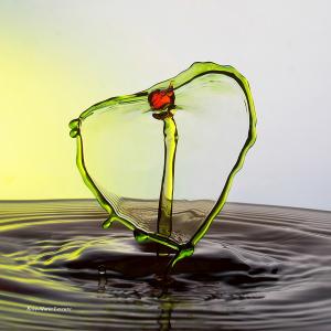 expo_festival_acquatique_08