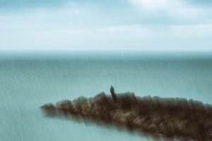 sylvie_trajan_vague____l___me__(5)