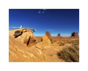 monument_valley-9