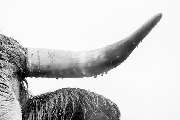 aline_chambert_en_quete_de_lumiere_012