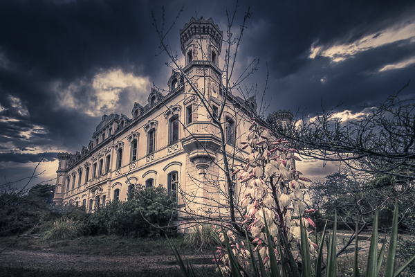 10012022-_21a0289-modifier-modifier-2