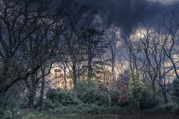 10012022-_21a0320-modifier-2